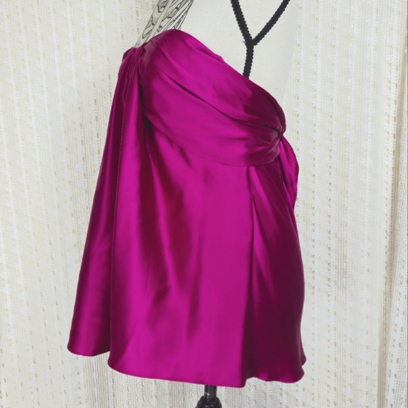 Moda International Silk Tube Top Strapless Babydoll Top Pink Size Small - Picture 4 of 5